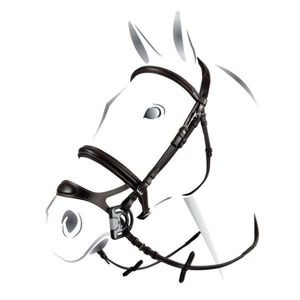 BR00695 - BRIGLIA EQUESTRO MODELLO COMBINED