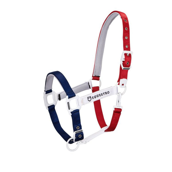 CA00512 - CAVEZZA EQUESTRO “FLAGGY” + LUNGHINA