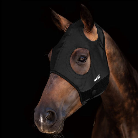 LL290P05-TITANIUM MASK COME BEST NO EARS