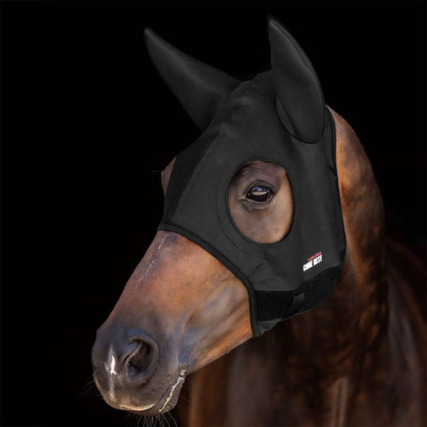 LL290P04-TITANIUM MASK COME BEST WITH EARS