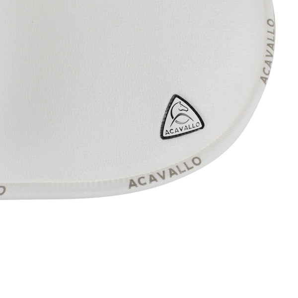 AC205