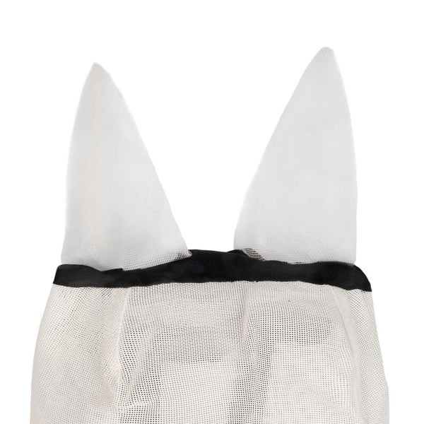 AG00191A