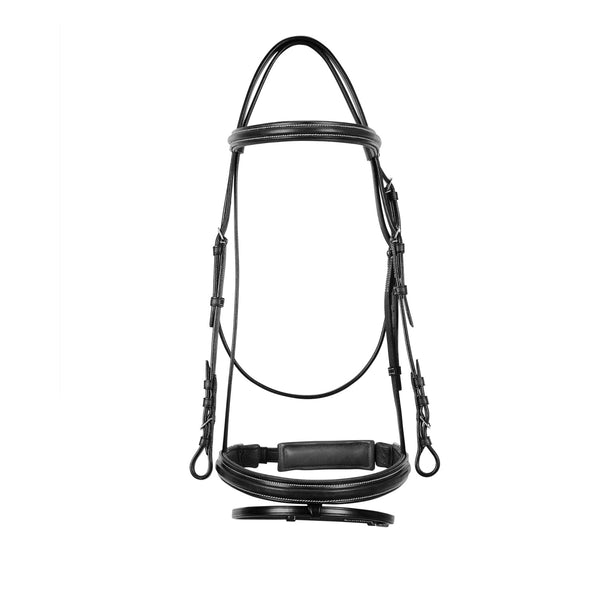 BR00645 - BRIGLIA EQUESTRO MODELLO “SILVER”