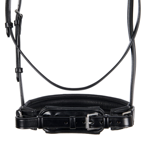 BR00690 -BRIGLIA EQUESTRO MODELLO “DRESSAGE”