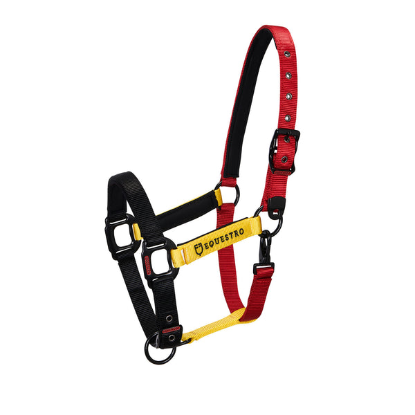 CA00512 - CAVEZZA EQUESTRO “FLAGGY” + LUNGHINA