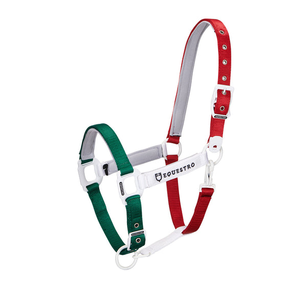 CA00512 - CAVEZZA EQUESTRO “FLAGGY” + LUNGHINA