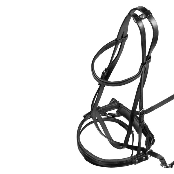 CK00045
