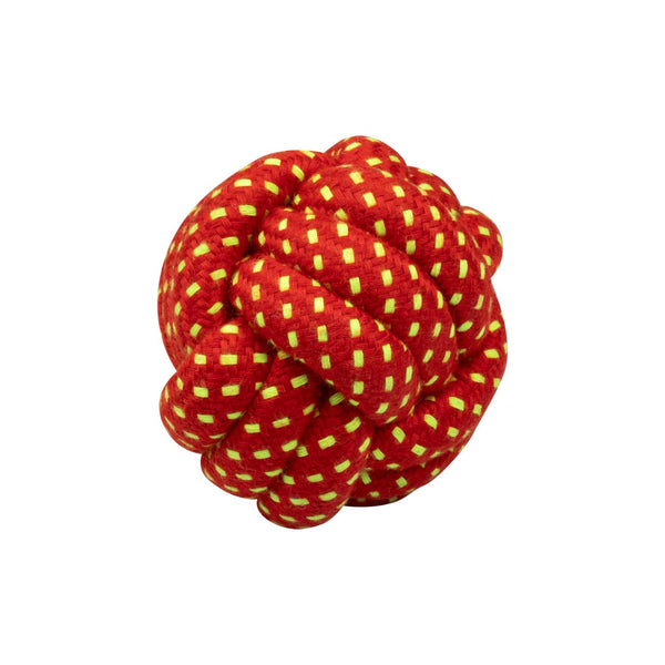 DGP00005