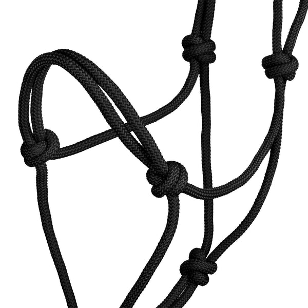 DM00810