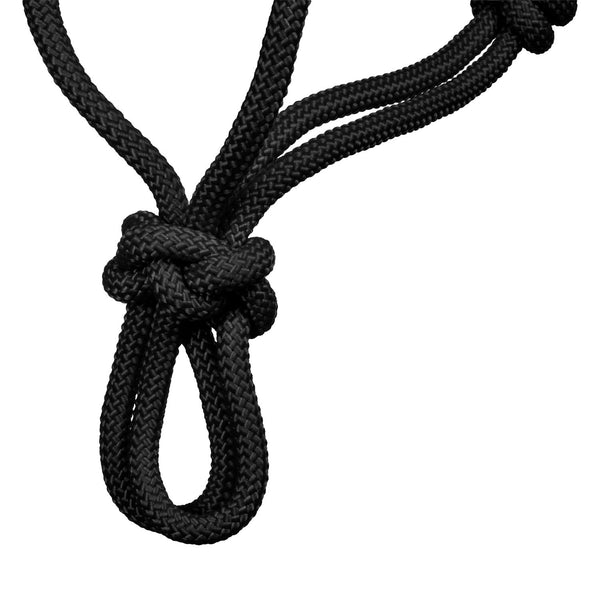 DM00810
