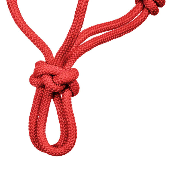 DM00810