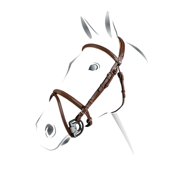 ET01000 - BRIGLIA JUMPING SENZA REDINI