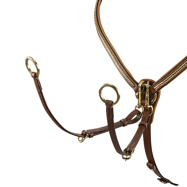 ET02011 - PETTORALE CLINCHER OTTONE
