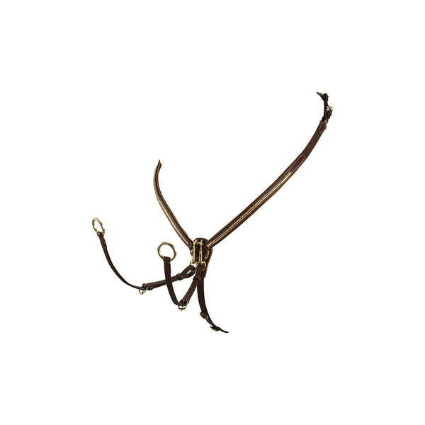 ET02011 - PETTORALE CLINCHER OTTONE
