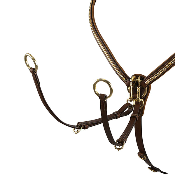 ET02011 - PETTORALE CLINCHER OTTONE