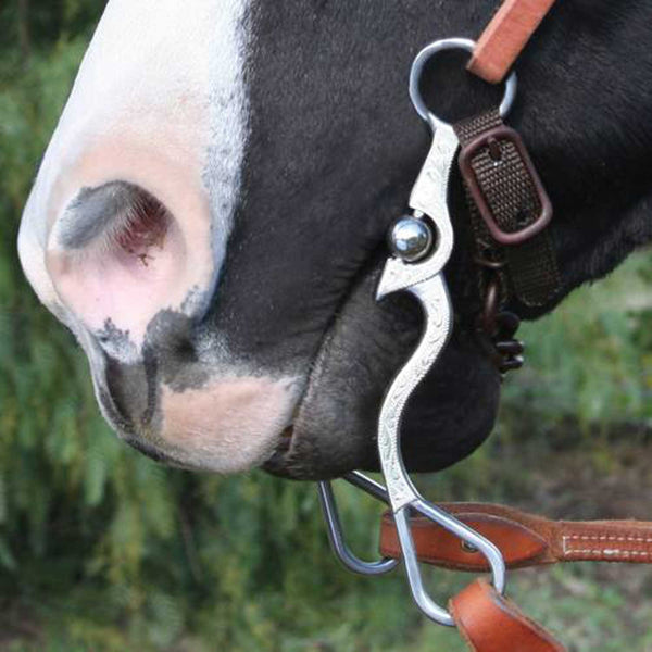 MO00934