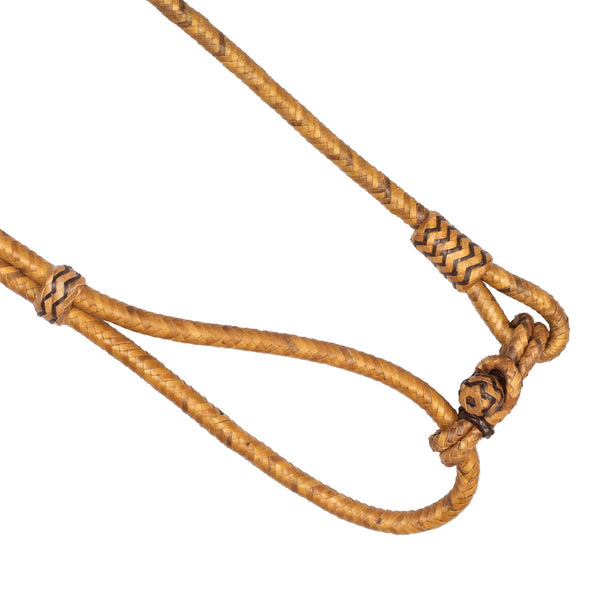 PLH01060