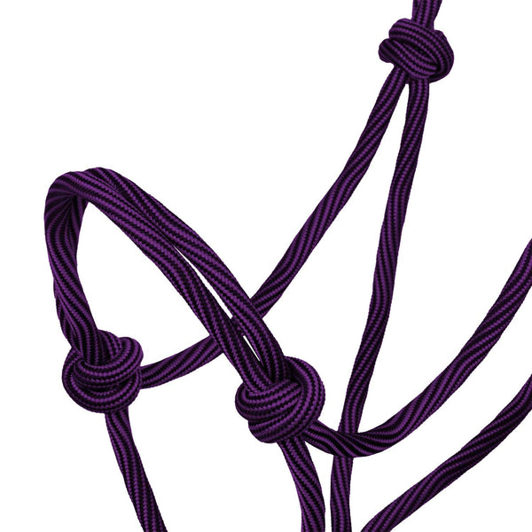 PLH03014