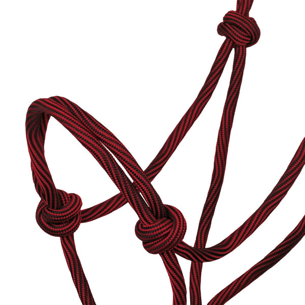 PLH03014
