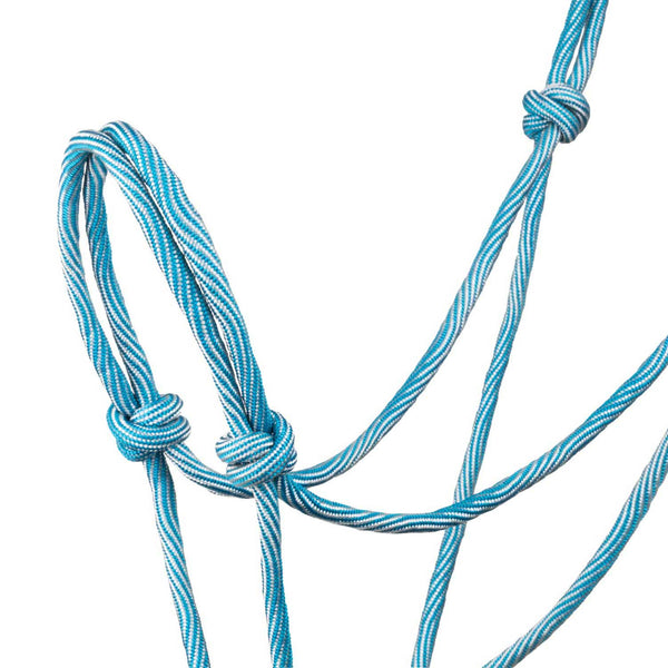 PLH03015