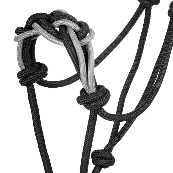 PLH03016