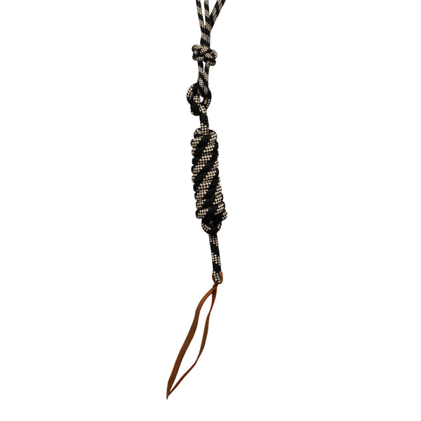 PLH03017