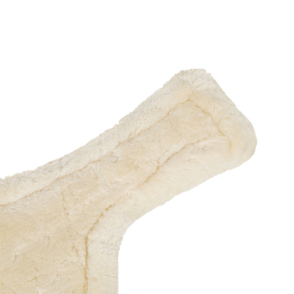 SP00451A