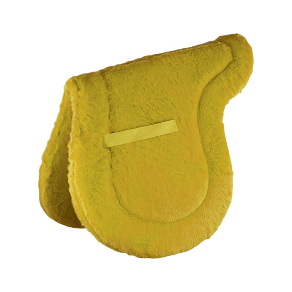 SS00100