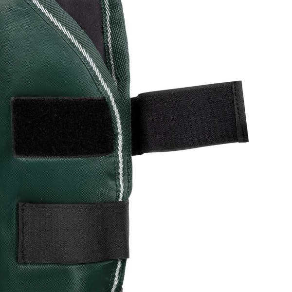 VA00420