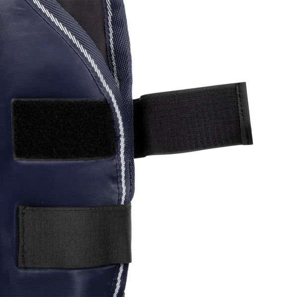 VA00420