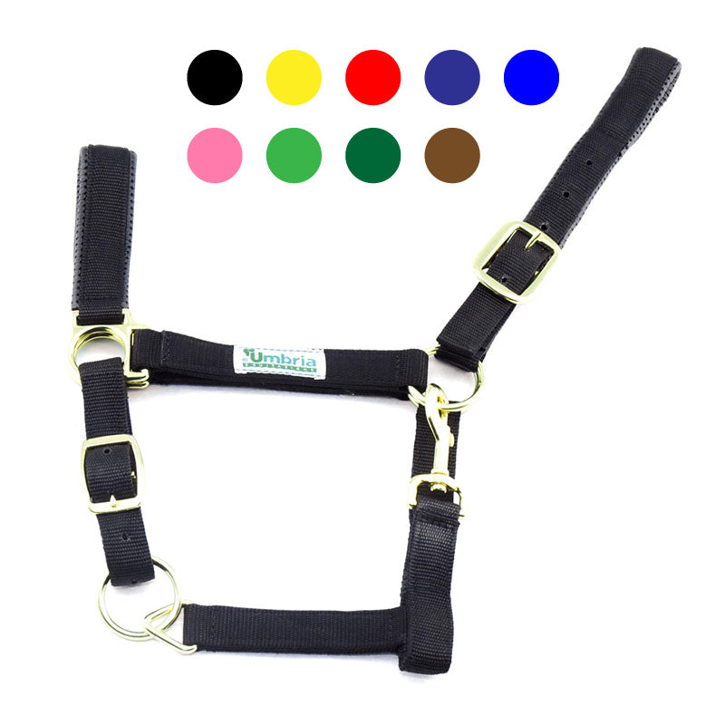 CA00022 - CAVEZZA NYLON RINFORZO NEOPRENE