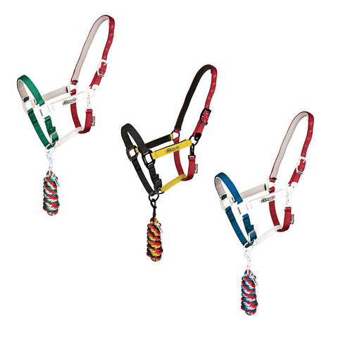 CA00512 - CAVEZZA EQUESTRO “FLAGGY” + LUNGHINA