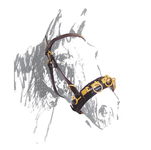 DM00010 - CAVEZZONE DOMA IN CUOIO