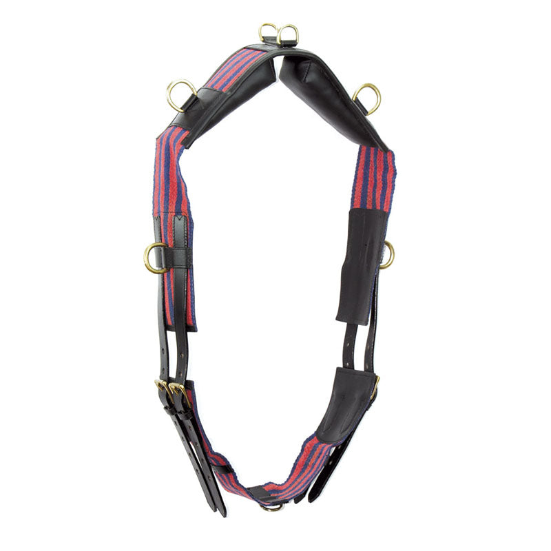 DM00018 - FASCIONE IN CUOIO CON ANELLI PICCOLI E SOTTOPANCIA