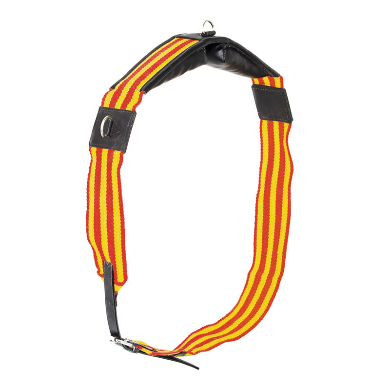 DM00020 - FASCIONE IN CUOIO CON ANELLI