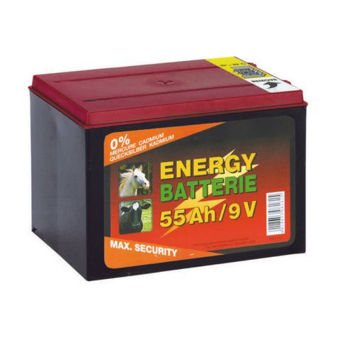 EL00040 - BATTERIA 55 AH